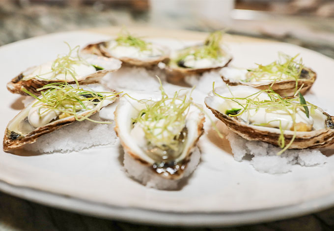 oyster 07