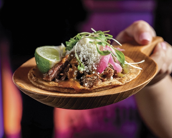 NYCWFF Gallery Image 1