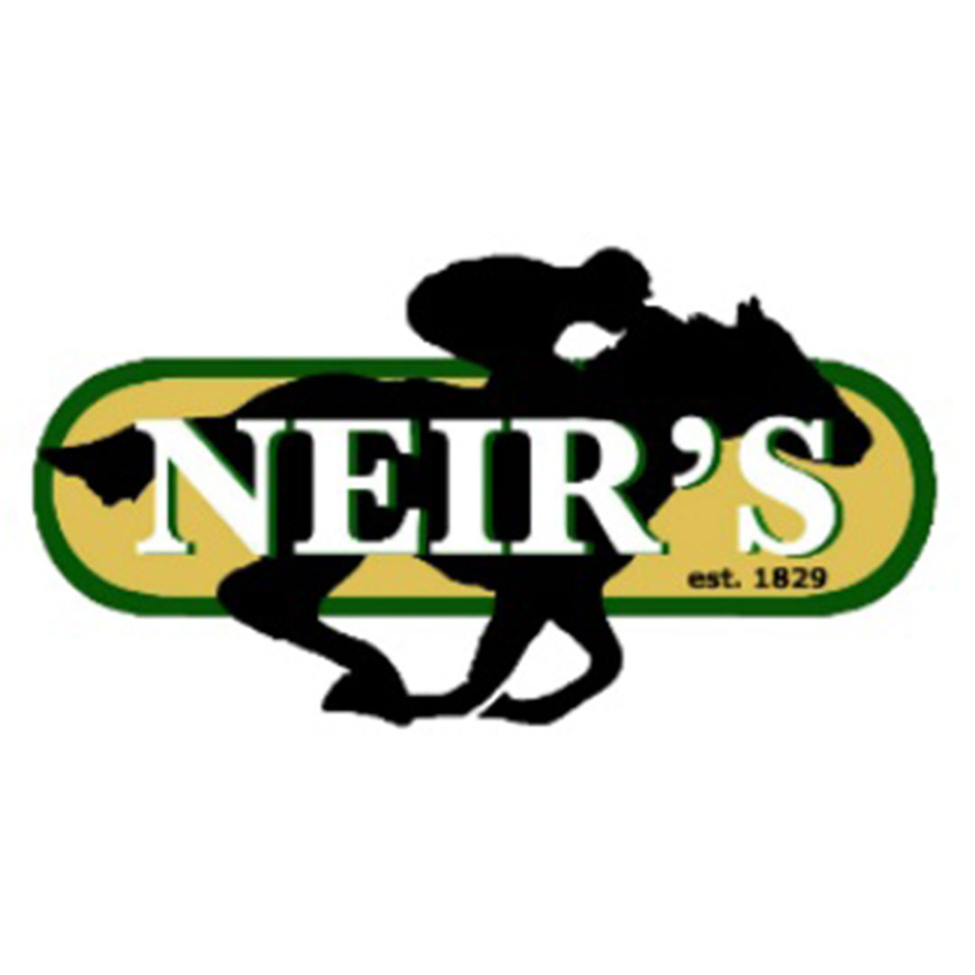 NeirsFinal