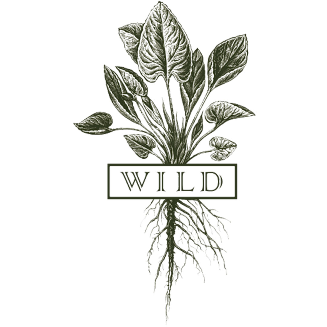 WildFinal